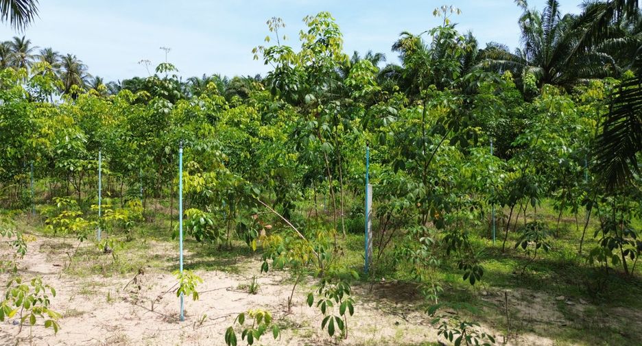 Terreno en venta en Thai Mueang, Phang Nga