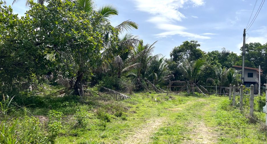 Terreno en venta en Thai Mueang, Phang Nga