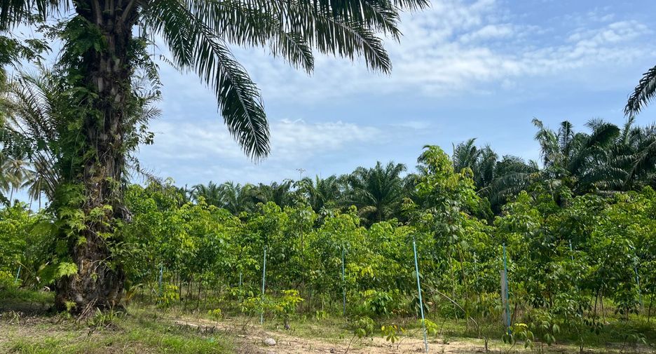 Terreno en venta en Thai Mueang, Phang Nga