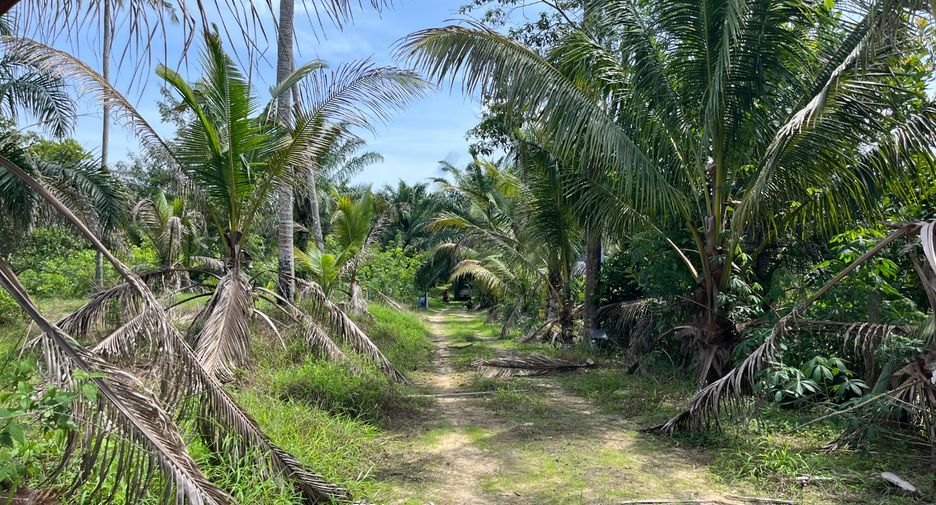 Terreno en venta en Thai Mueang, Phang Nga