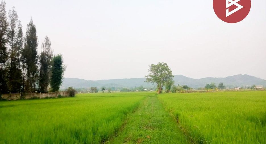 For sale land in Thoeng, Chiang Rai