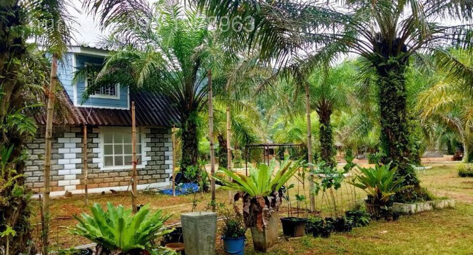 For sale land in Kapong, Phang Nga