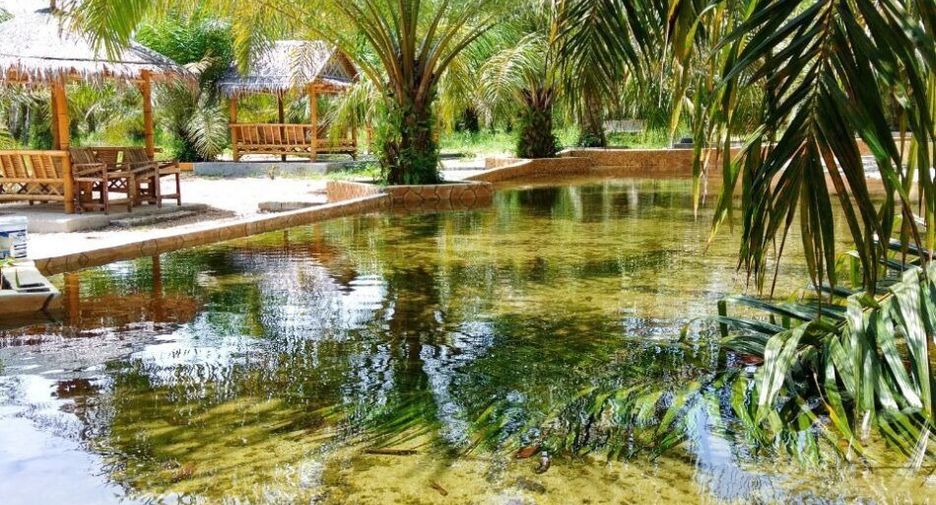 For sale land in Kapong, Phang Nga