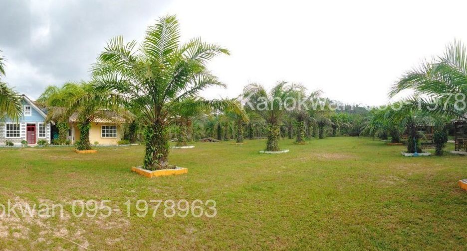 For sale land in Kapong, Phang Nga