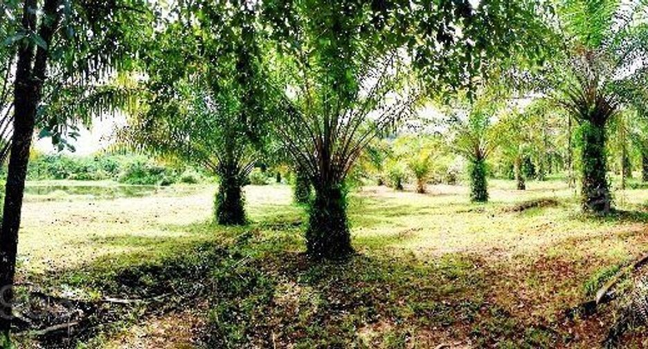For sale land in Kapong, Phang Nga