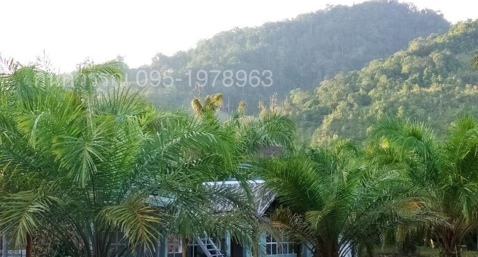 For sale land in Kapong, Phang Nga