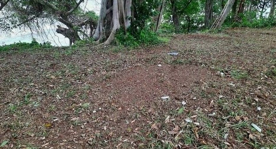 For sale land in Laem Ngop, Trat