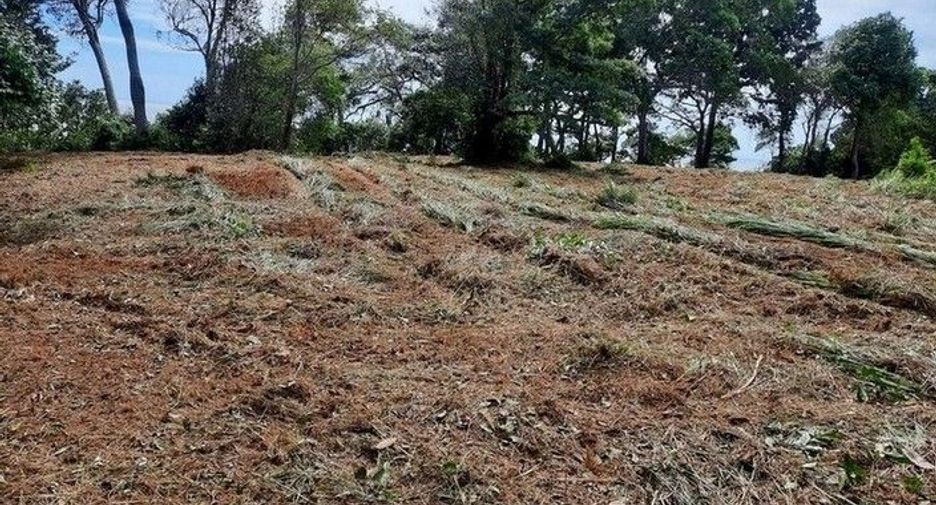For sale land in Laem Ngop, Trat