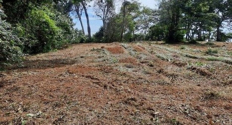 For sale land in Laem Ngop, Trat