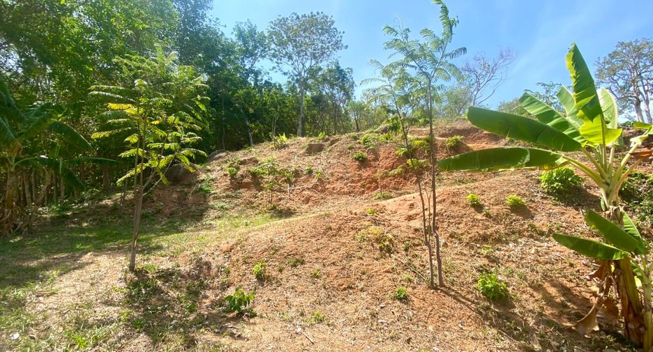 À vendre terrain à Mueang Phuket, Phuket