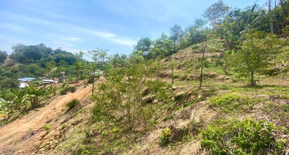À vendre terrain à Mueang Phuket, Phuket
