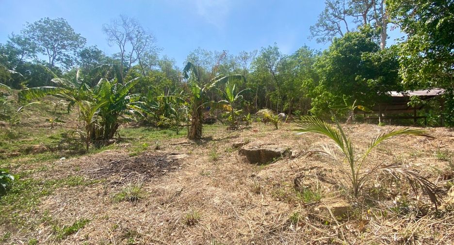 À vendre terrain à Mueang Phuket, Phuket
