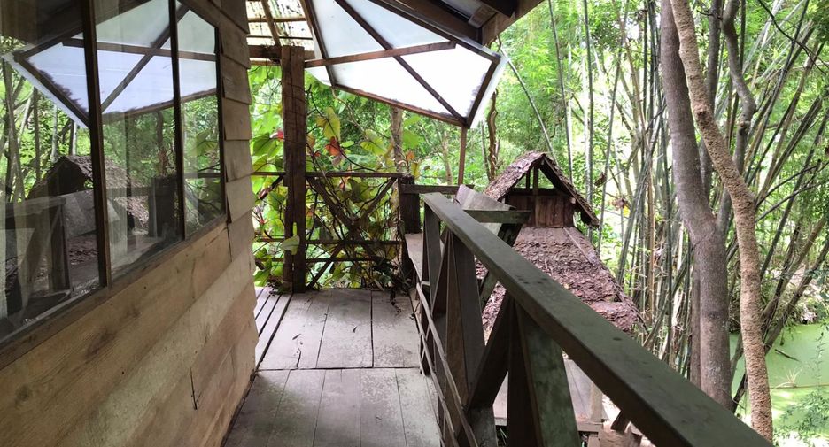 Haus zum Kauf mit 1 Zimmer in Pai, Mae Hong Son