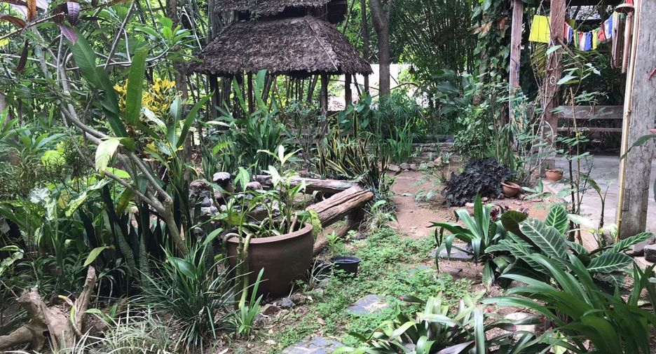 Haus zum Kauf mit 1 Zimmer in Pai, Mae Hong Son