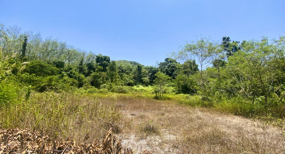 Grundstück zum Kauf in Thalang, Phuket