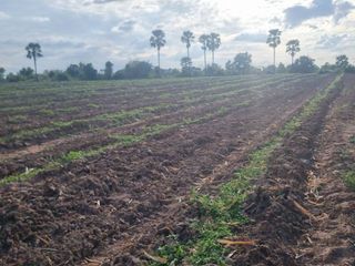 For sale land in Non Sung, Nakhon Ratchasima