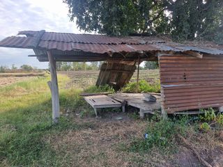 For sale land in Non Sung, Nakhon Ratchasima