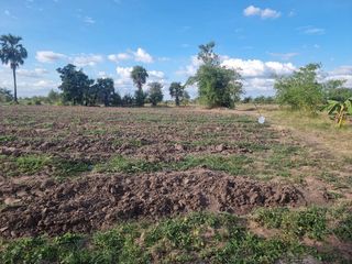 For sale land in Non Sung, Nakhon Ratchasima