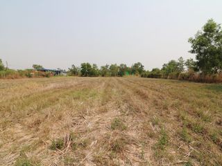 For sale land in Mueang Udon Thani, Udon Thani