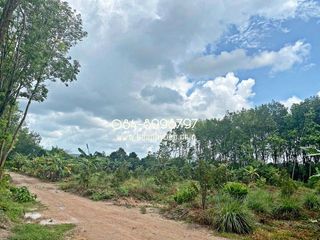 For sale land in Mueang Rayong, Rayong