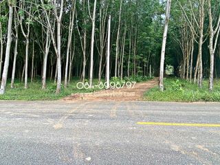 For sale land in Mueang Rayong, Rayong