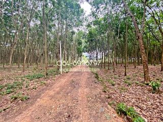 For sale land in Mueang Rayong, Rayong