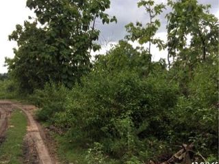 出售 土地 在 Ban Hong, Lamphun