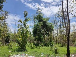 出售 土地 在 Ban Hong, Lamphun