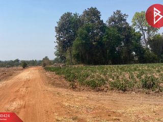 For sale land in Chakkarat, Nakhon Ratchasima