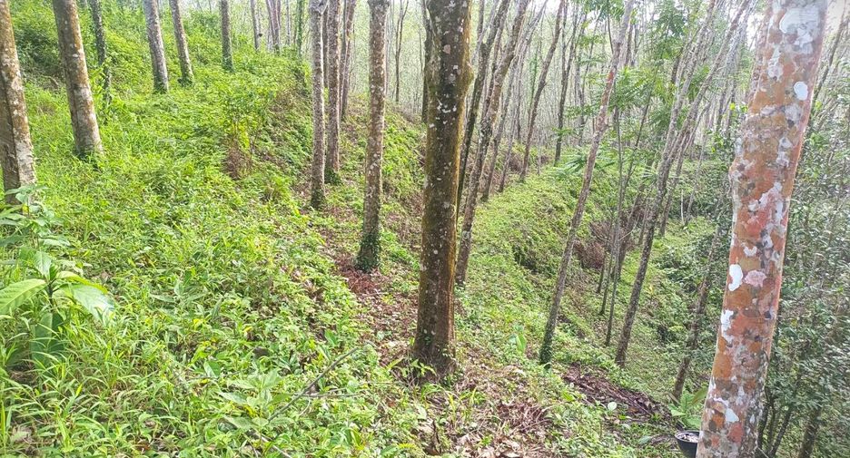 For sale land in Takua Thung, Phang Nga