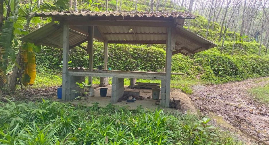 For sale land in Takua Thung, Phang Nga