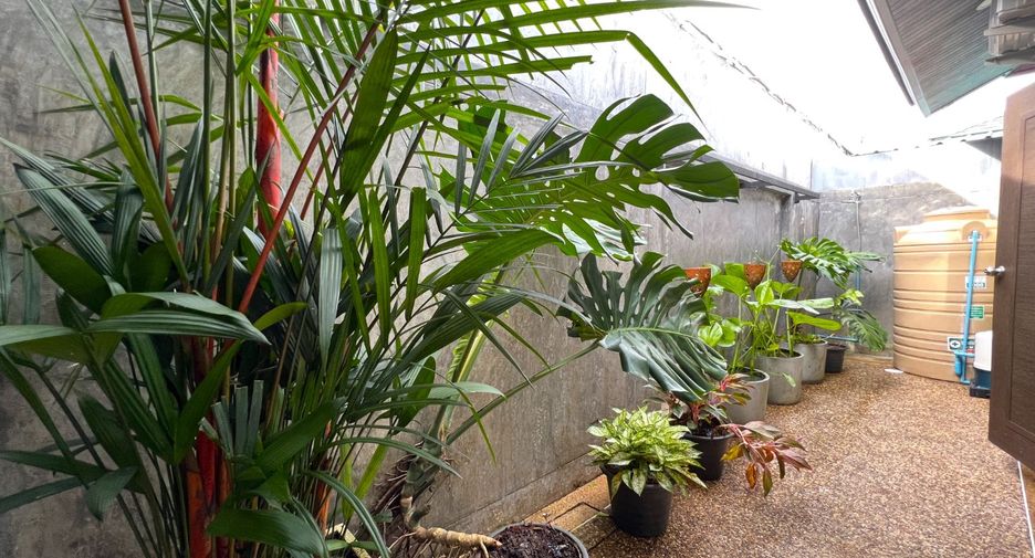 For sale 2 bed villa in Mueang Krabi, Krabi