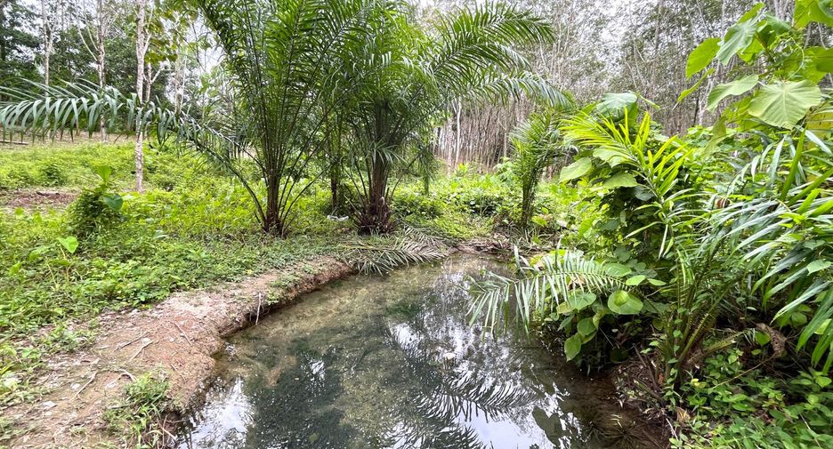 Grundstück zum Kauf in Takua Thung, Phang Nga