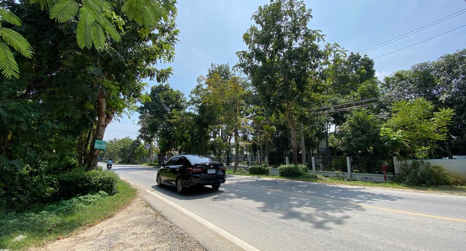 Grundstück zum Kauf in San Sai, Chiang Mai