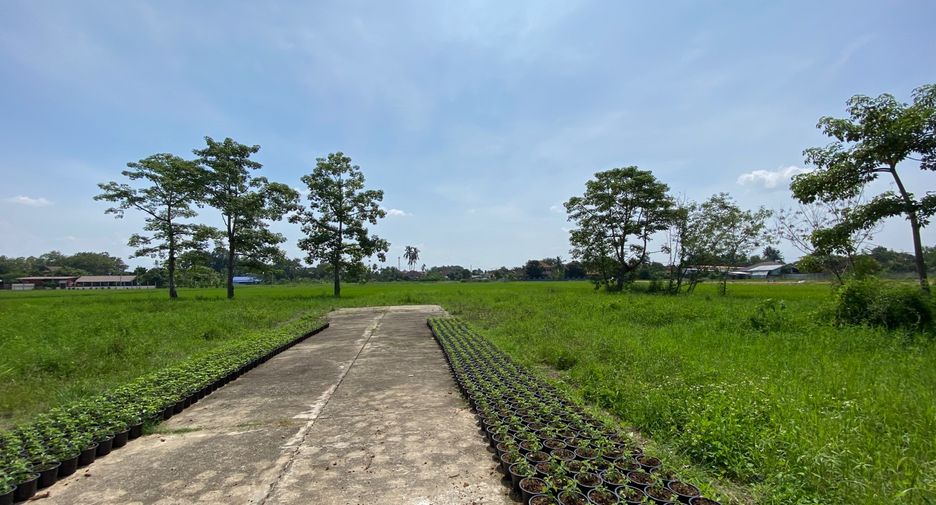 Grundstück zum Kauf in San Sai, Chiang Mai