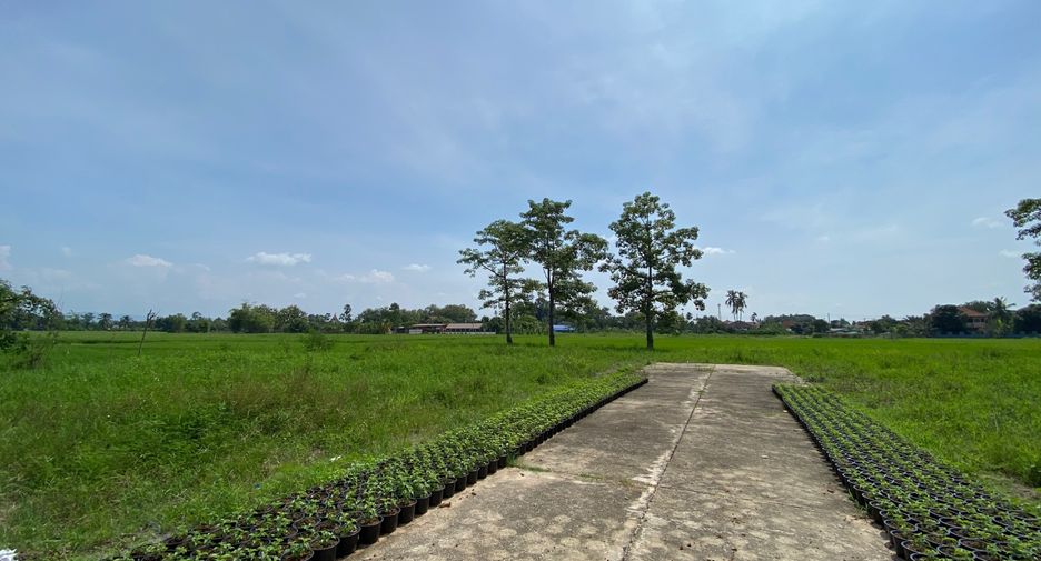 Grundstück zum Kauf in San Sai, Chiang Mai
