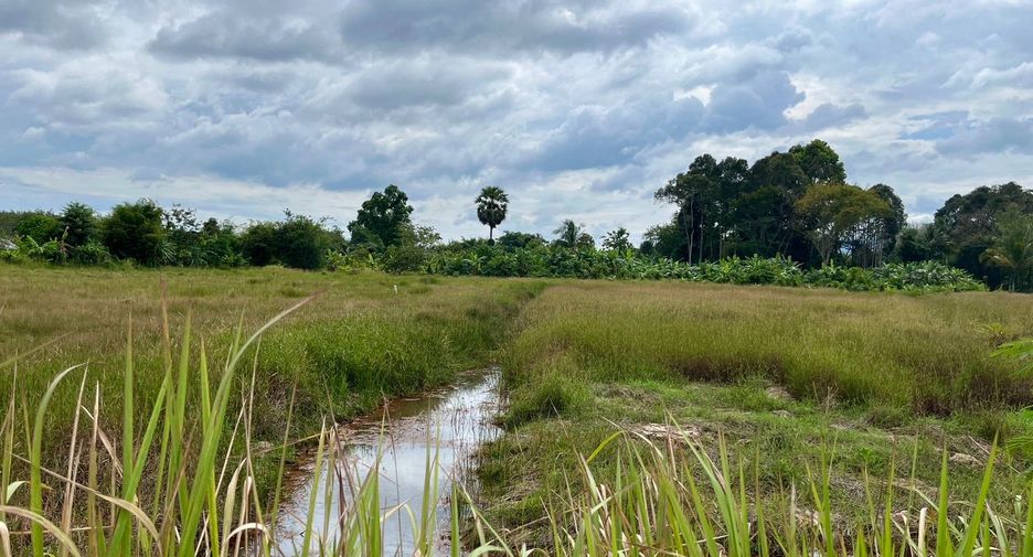 出售 土地 在 塔朗, 普吉