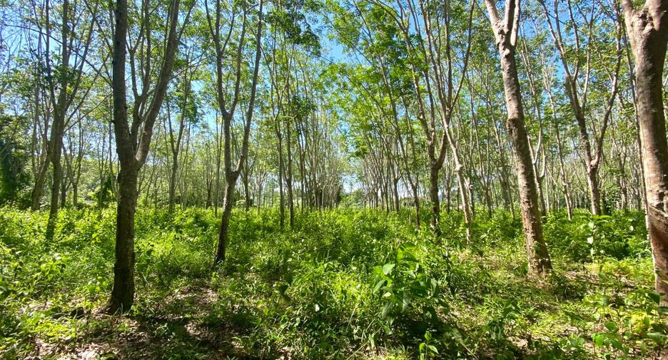 Terreno en venta en Thalang, Phuket