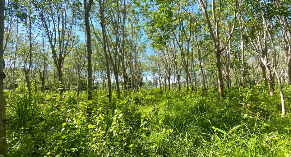 Terreno en venta en Thalang, Phuket
