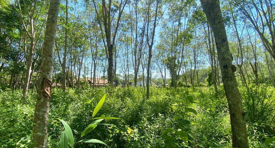 Terreno en venta en Thalang, Phuket