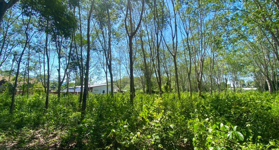 Terreno en venta en Thalang, Phuket