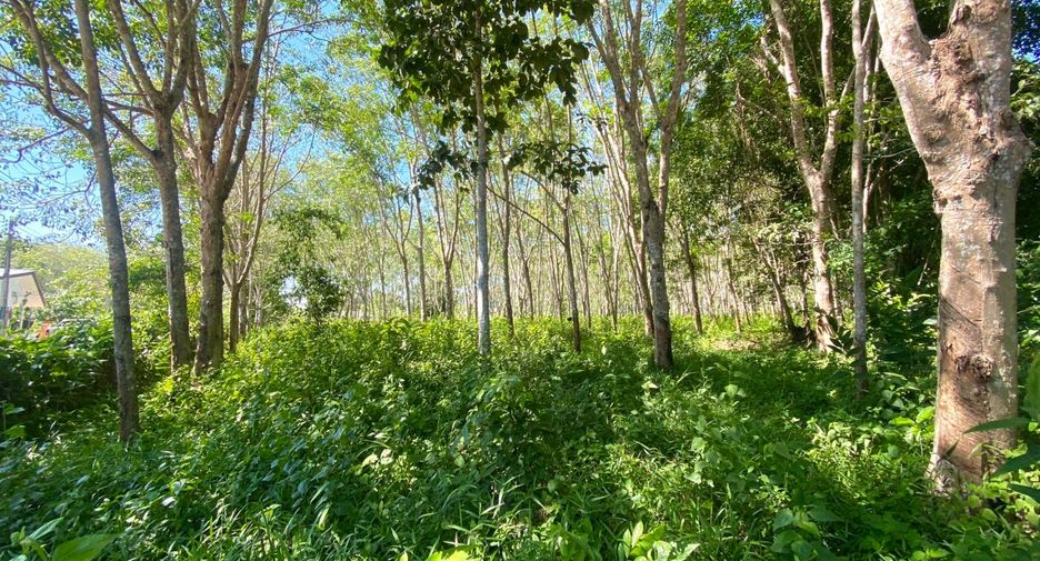Terreno en venta en Thalang, Phuket