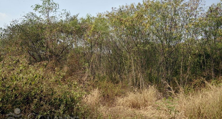 À vendre terrain à Sai Yok, Kanchanaburi