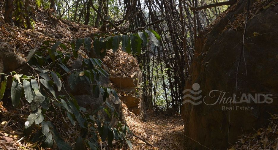 À vendre terrain à Sai Yok, Kanchanaburi