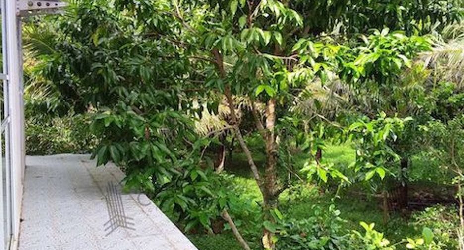 For sale land in Thung Tako, Chumphon
