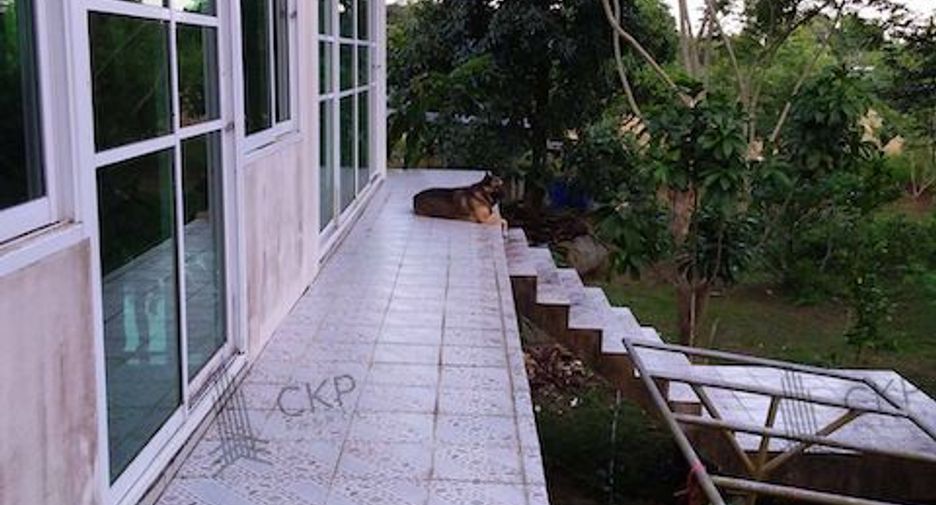 For sale land in Thung Tako, Chumphon