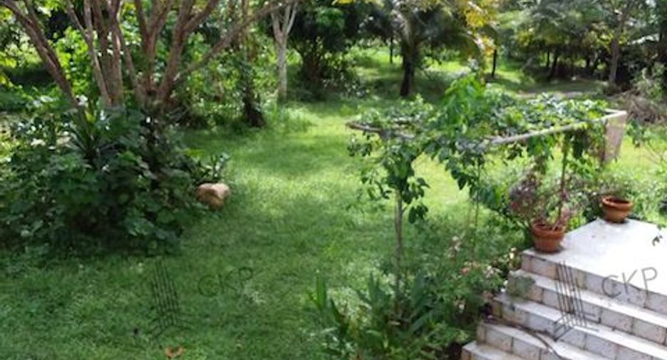 For sale land in Thung Tako, Chumphon