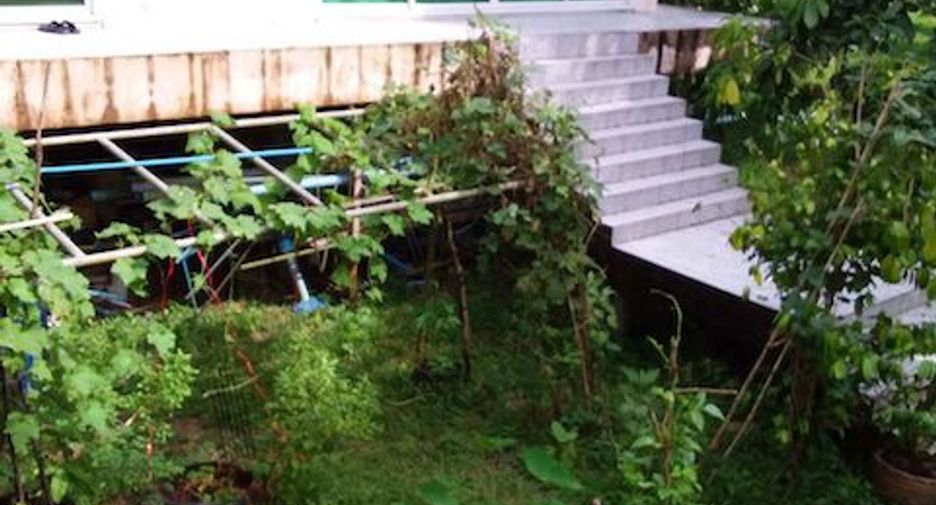 For sale land in Thung Tako, Chumphon