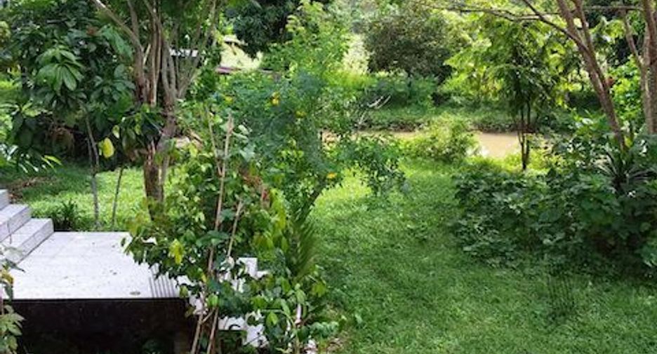 For sale land in Thung Tako, Chumphon