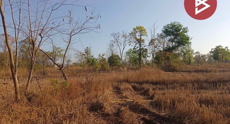 For sale land in Pla Pak, Nakhon Phanom